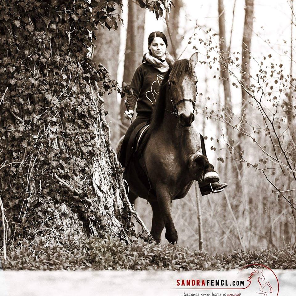 Mein Lusitano Rufino war der beste Lehrmeister, um mich zur "inneren Stille" zu bringen :)