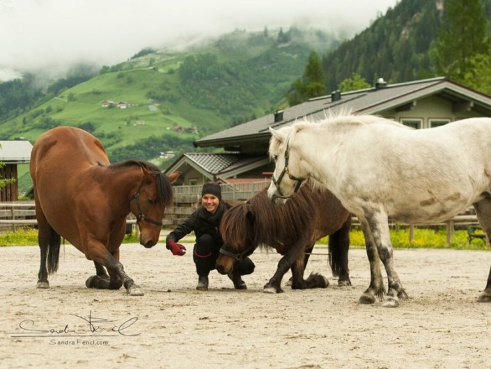 PFERDEGERECHTES_TRAINING_LERNEN_IN_KLEINEN_SCHRITTEN[1]