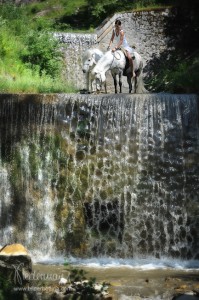 Sandra Fencl Handpferde Reiten