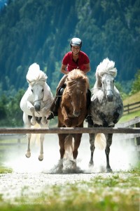 Handpferde Reiten Sandra Fencl