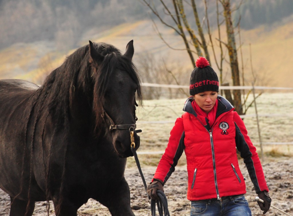 Hand aufs Herz, wie kompetent bist Du als Pferdetrainer?