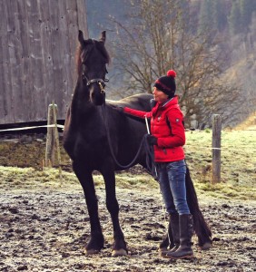 Jungen Pferden muss man als Trainer Sicherheit geben.