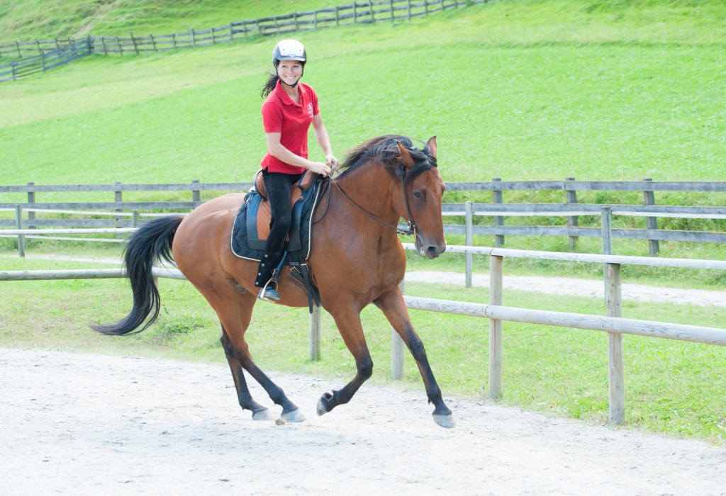 Sandra Fencl pferdetraining salzburg