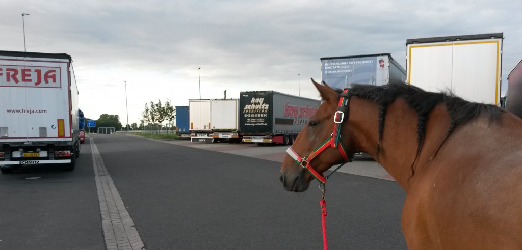 rufino lkw