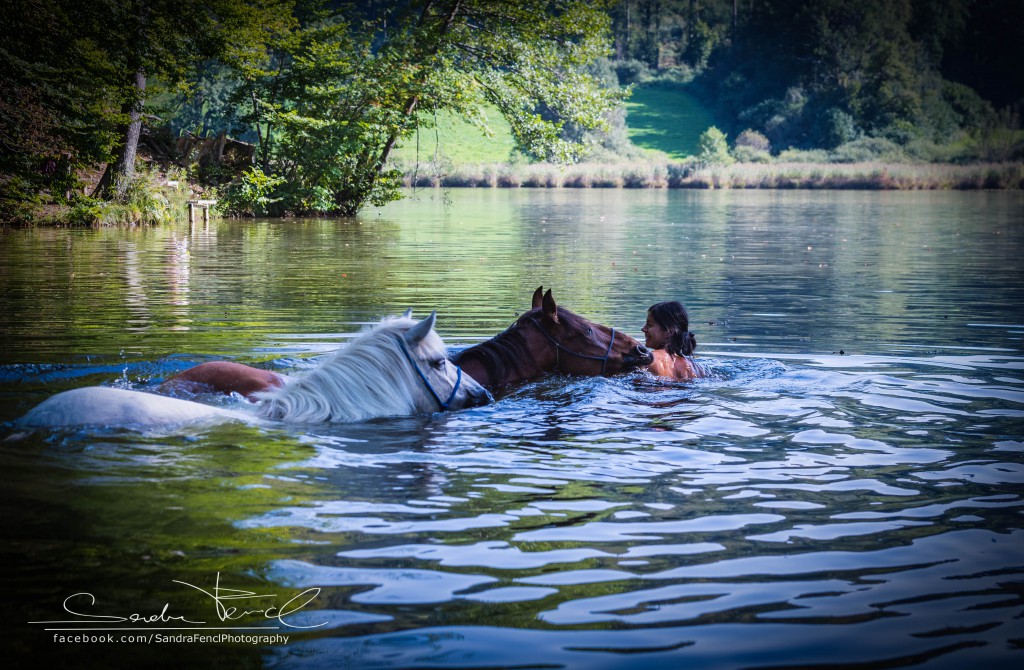 mit Pferden Schwimmen