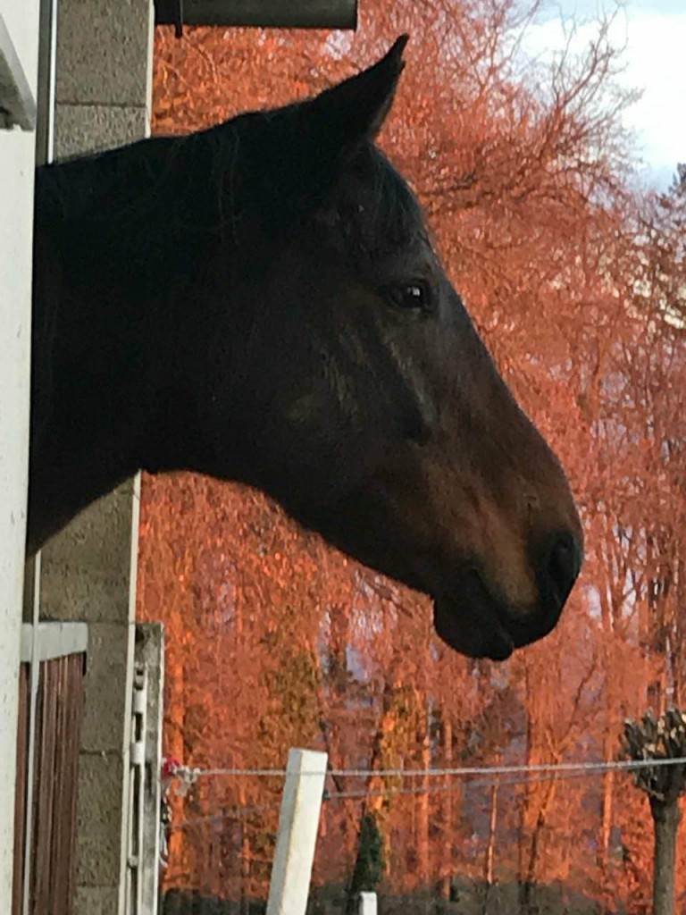 Zufriedener Bub nach der Bearbeitung