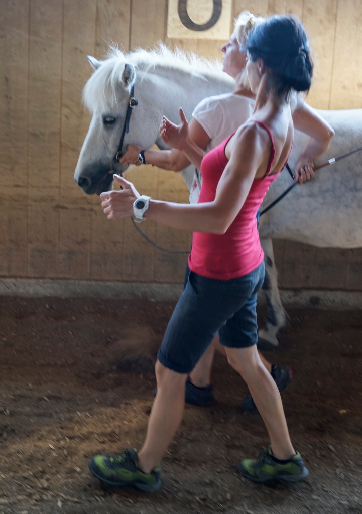 Mit Bedacht aufrichten - in der Handarbeit und beim Reiten