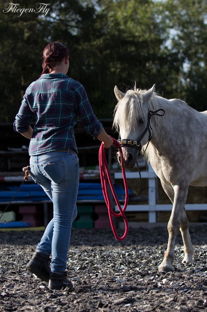 An manchen Tagen ist es "fairer", am Boden zu bleiben, und nicht zu reiten.