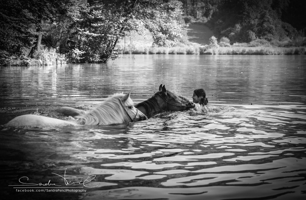 Schwimmen mit Pferden