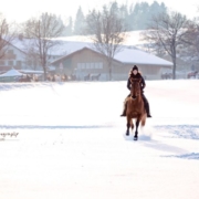 9_WICHTIGE_TIPPS_FÜR_MEHR_SICHERHEIT,_KONTROLLE_&_GEGENSEITIGES_VERTRAUEN_BEIM_REITEN[1]