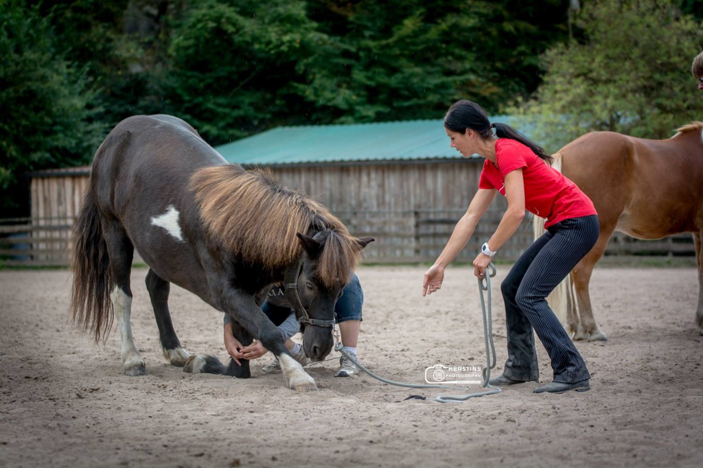 Schülerin und ihr Pferd beim Einüben des Kompliments