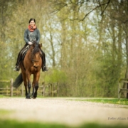 7_TIPPS_FÜR_BESSERE_HILFENGEBUNG_BEIM_REITEN[