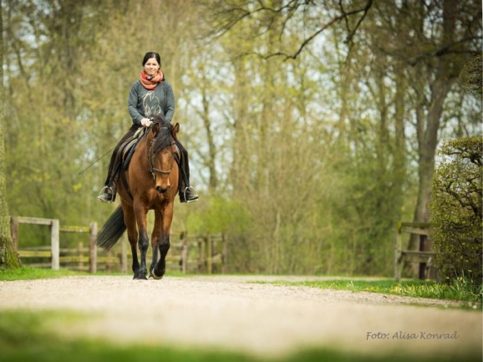 7_TIPPS_FÜR_BESSERE_HILFENGEBUNG_BEIM_REITEN[