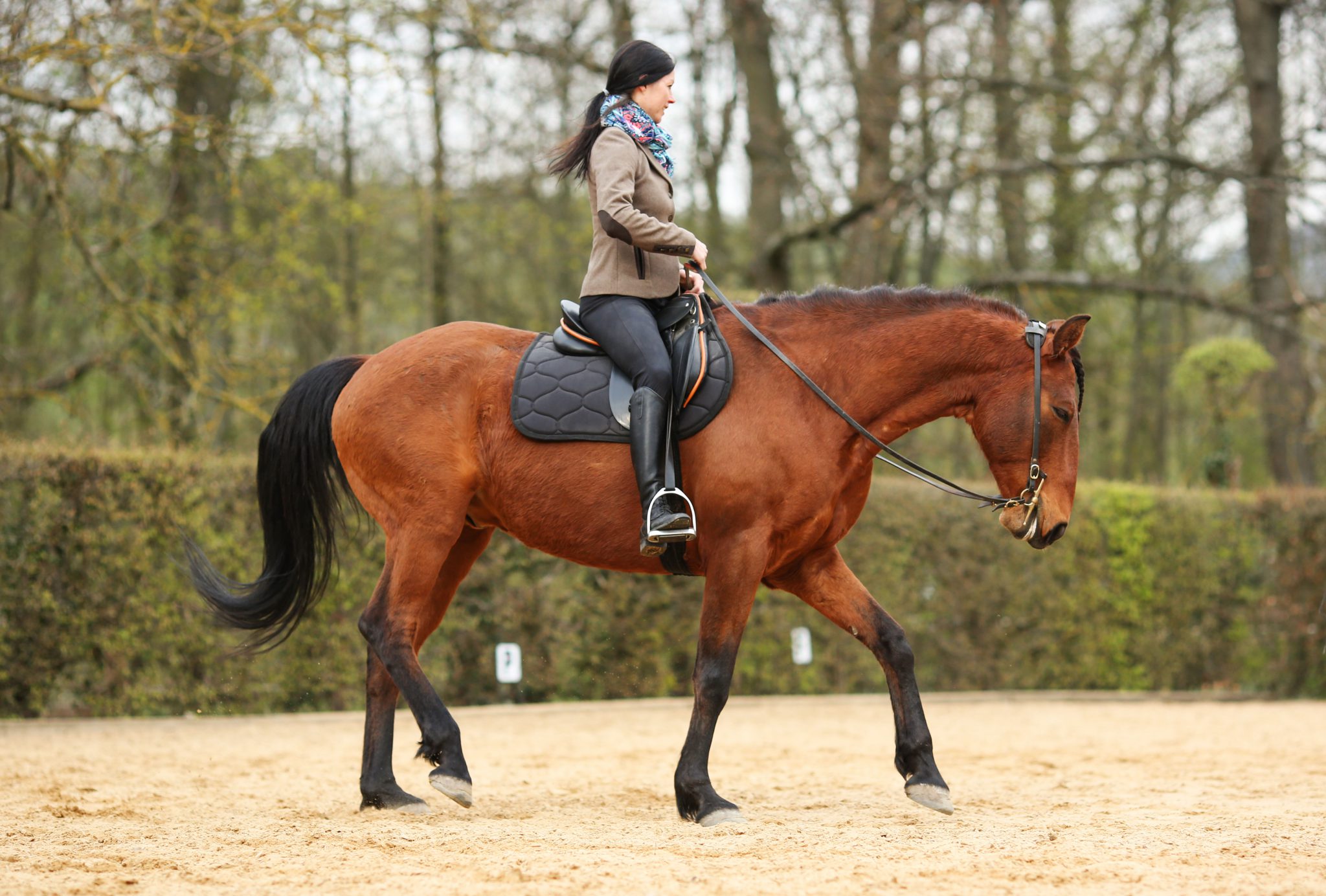 Tolle Braut beim Reiten 