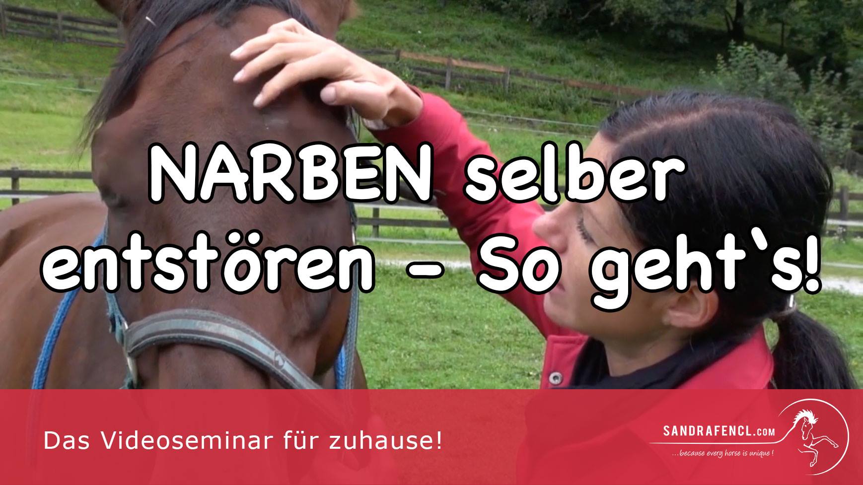 Ganzheitliche Narbenentstörung mit Sandra Fencl