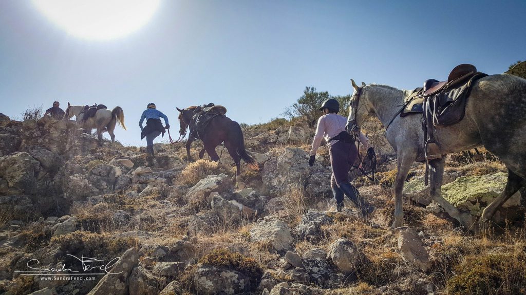 Unwegsames Gelände? Kein Problem für die Pferde der Kapadokya Ranch! Jedoch für so manchen Zweibeiner anstrengender als gedacht.