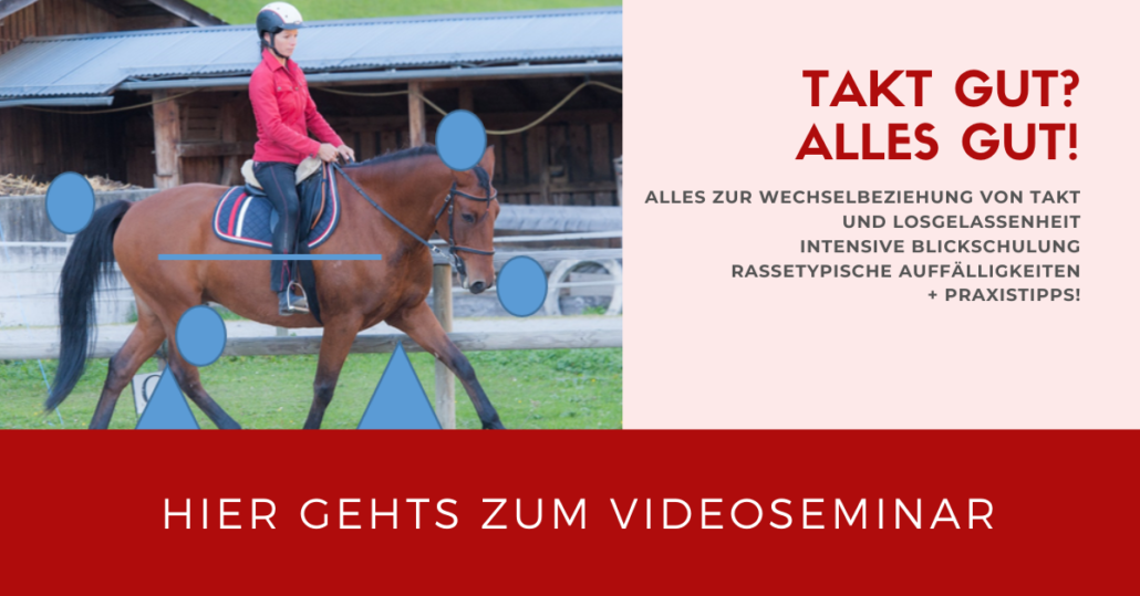 Takt gut - alles gut! Videoseminar mit Sandra Fencl