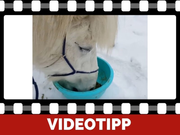 DIY Mit gesundem selbstgemachten Mash Pferde in der Kälte unterstützen