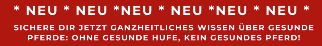 Ohne gesunde Hufe kein gesundes Pferd!