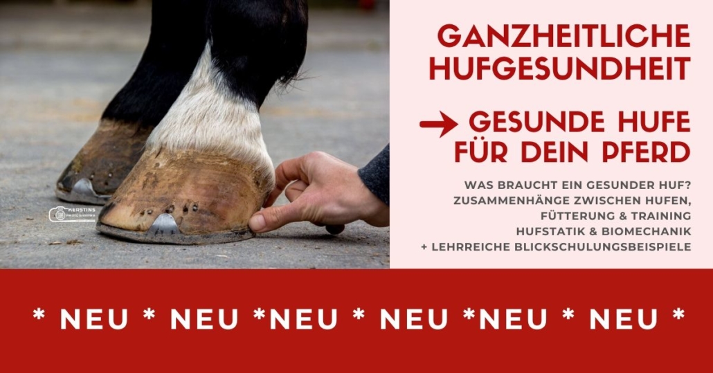 Gesunde Hufe für Dein Pferd!