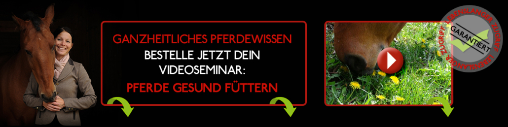 Gesunde Pferdefütterung:: Videoseminar mit Sandra Fencl