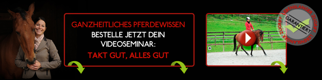 Der Takt des Pferde: Videoseminar mit Sandra Fencl