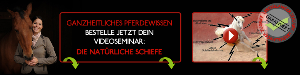 Die natürliche Schiefe des Pferdes: Videoseminar mit Sandra Fencl