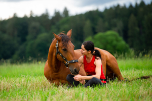 Die Bodenarbeit verhilft zu Vertrauen, Respekt und Sicherheit zwischen Mensch und Pferd.