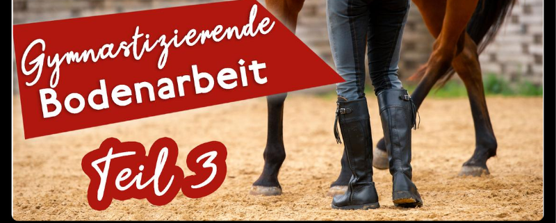Gesundheitsfördernde Bodenarbeit Teil 3 - die gymnastische Bodenarbeit