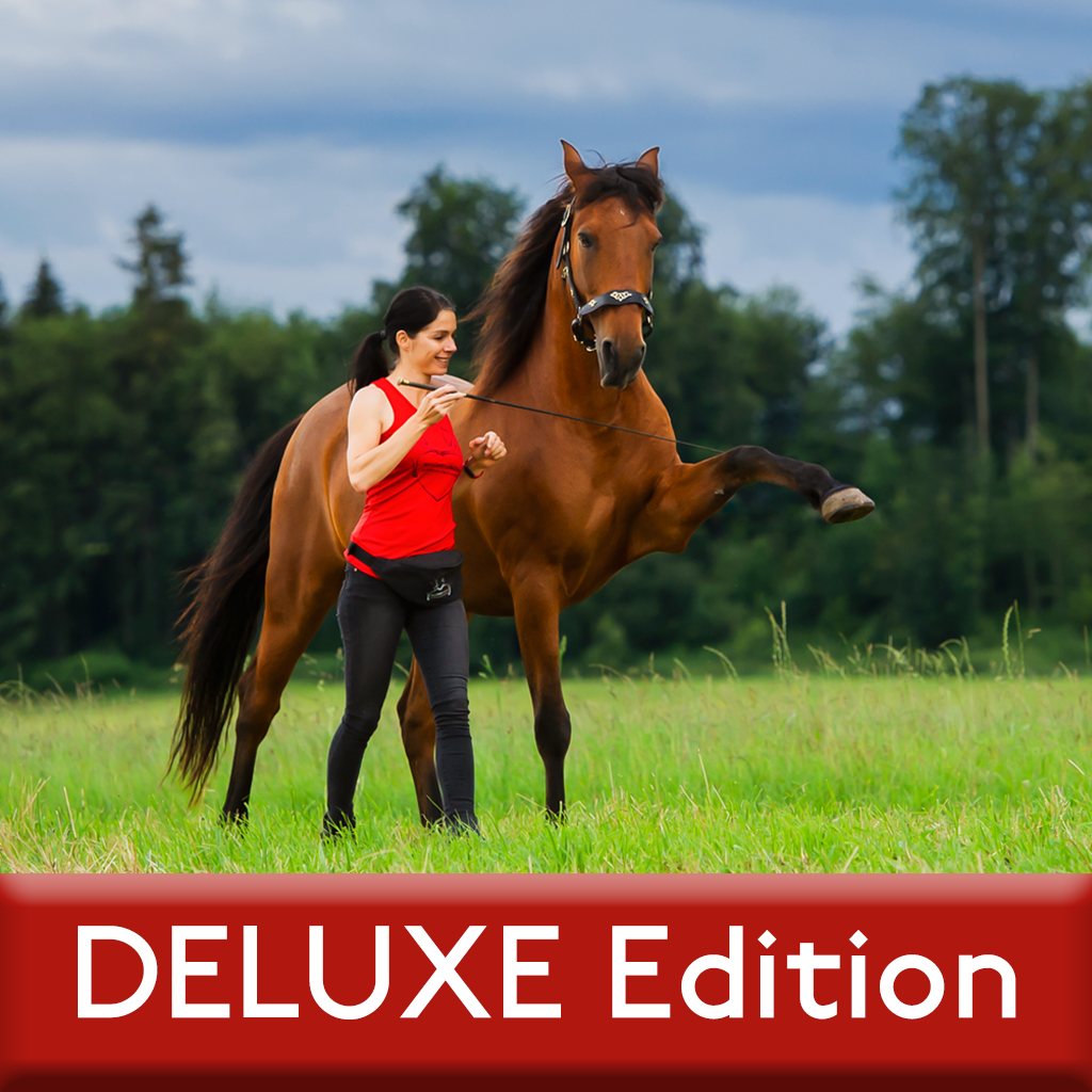Shopify_ZA_DELUXE