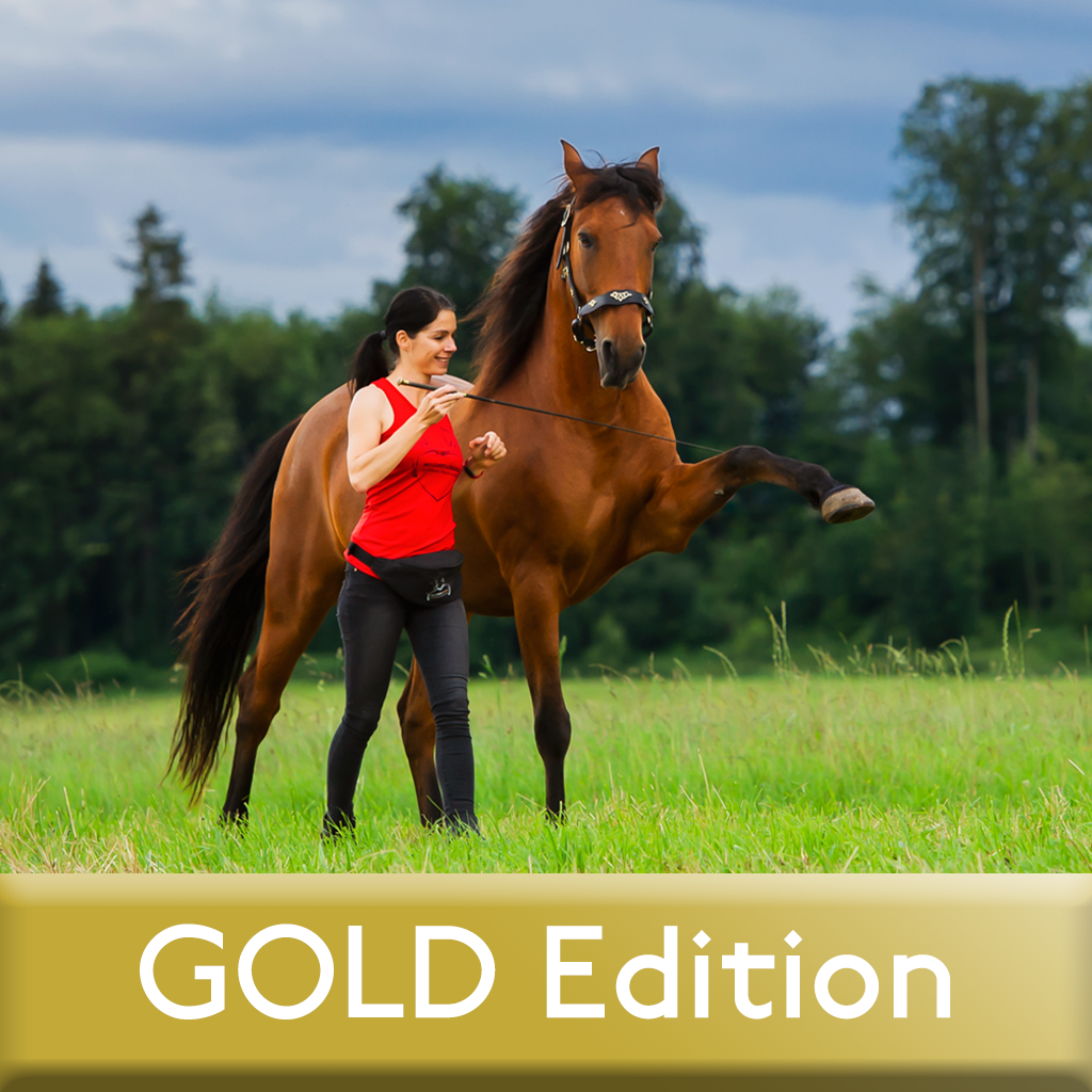 Shopify_ZA_GOLD