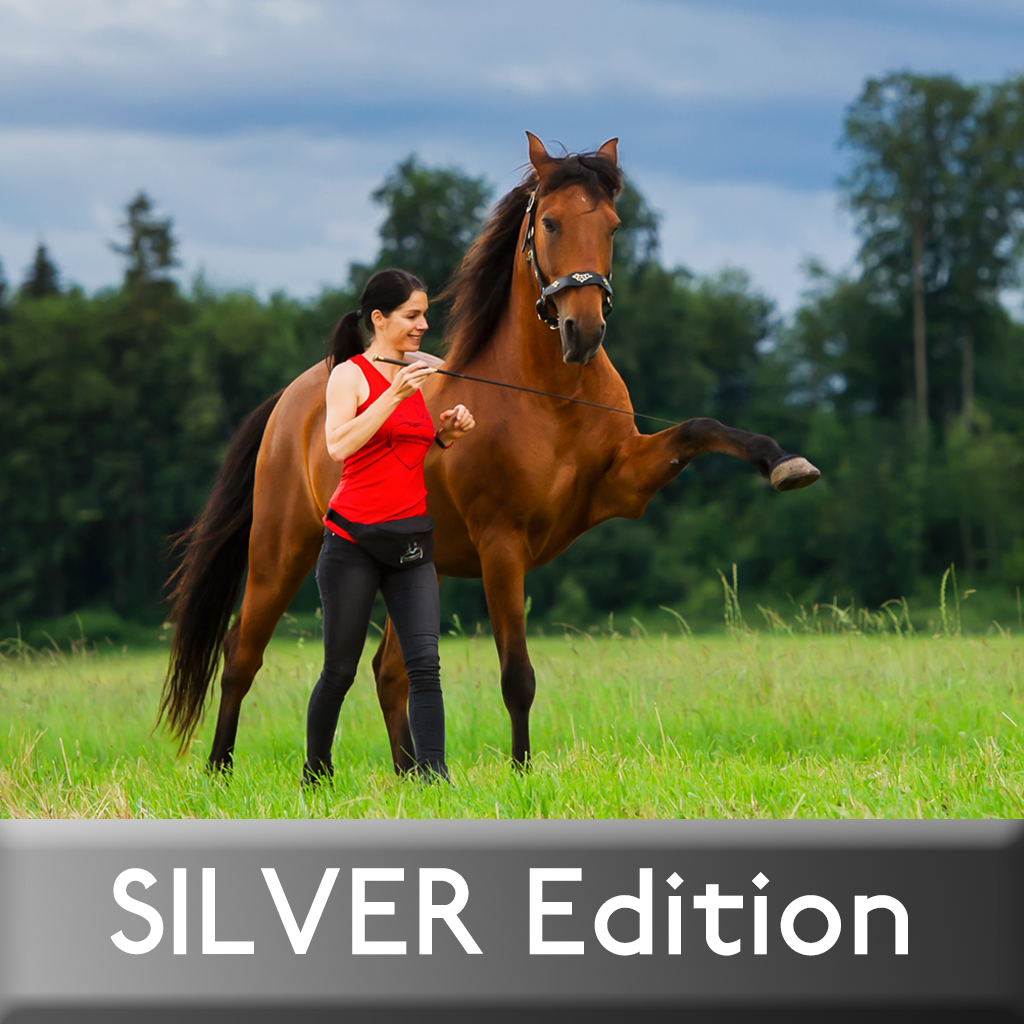 Shopify_ZA_SILVER