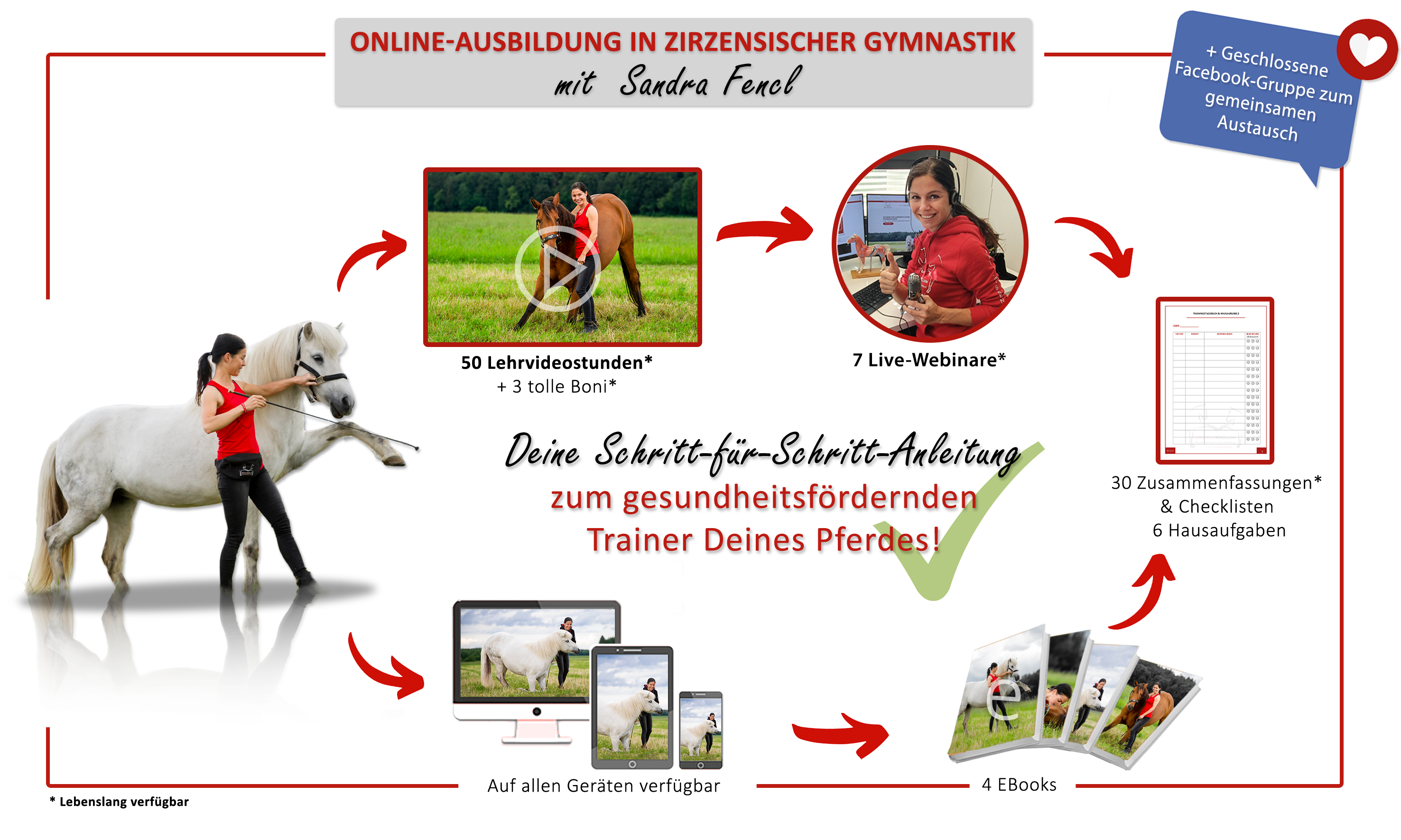 Zirzensische_Gymnastik_Online-Ausbildung_mit_Sandra_Fencl_2