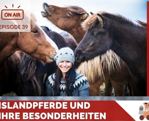 Islandpferde und ihre Besonderheiten