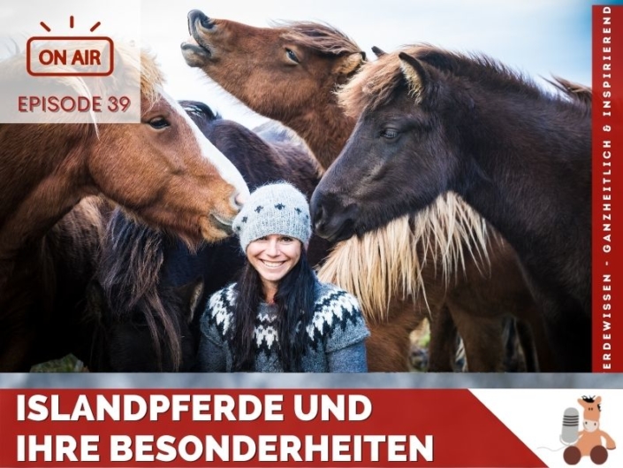 Islandpferde und ihre Besonderheiten