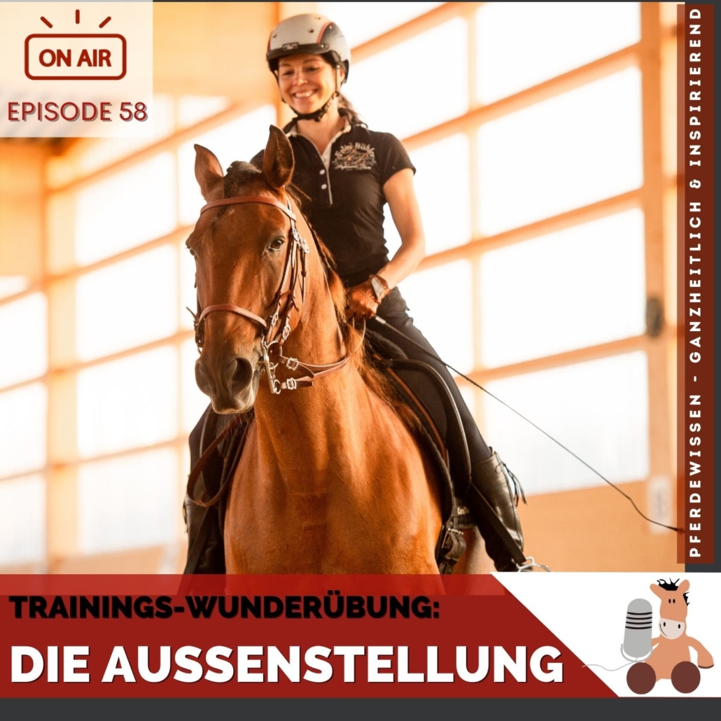 Pferdewissen Pferdepodcast Außenstellung beim Reiten
