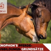 Pferdepodcast Pferdeausbildung nach Xenophon