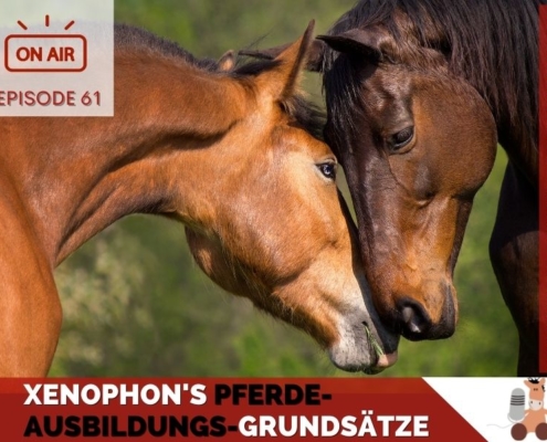 Pferdepodcast Pferdeausbildung nach Xenophon