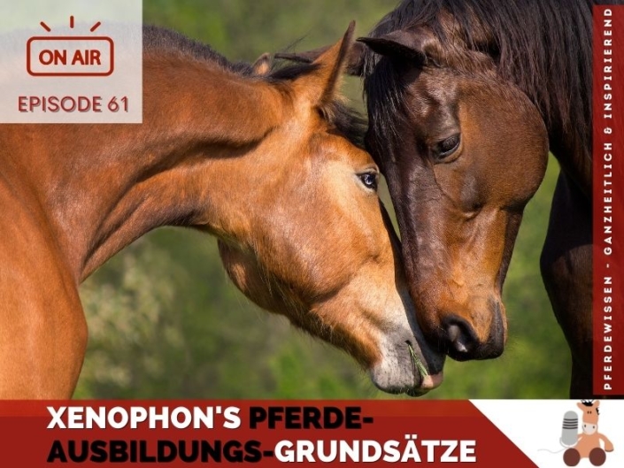 Pferdepodcast Pferdeausbildung nach Xenophon
