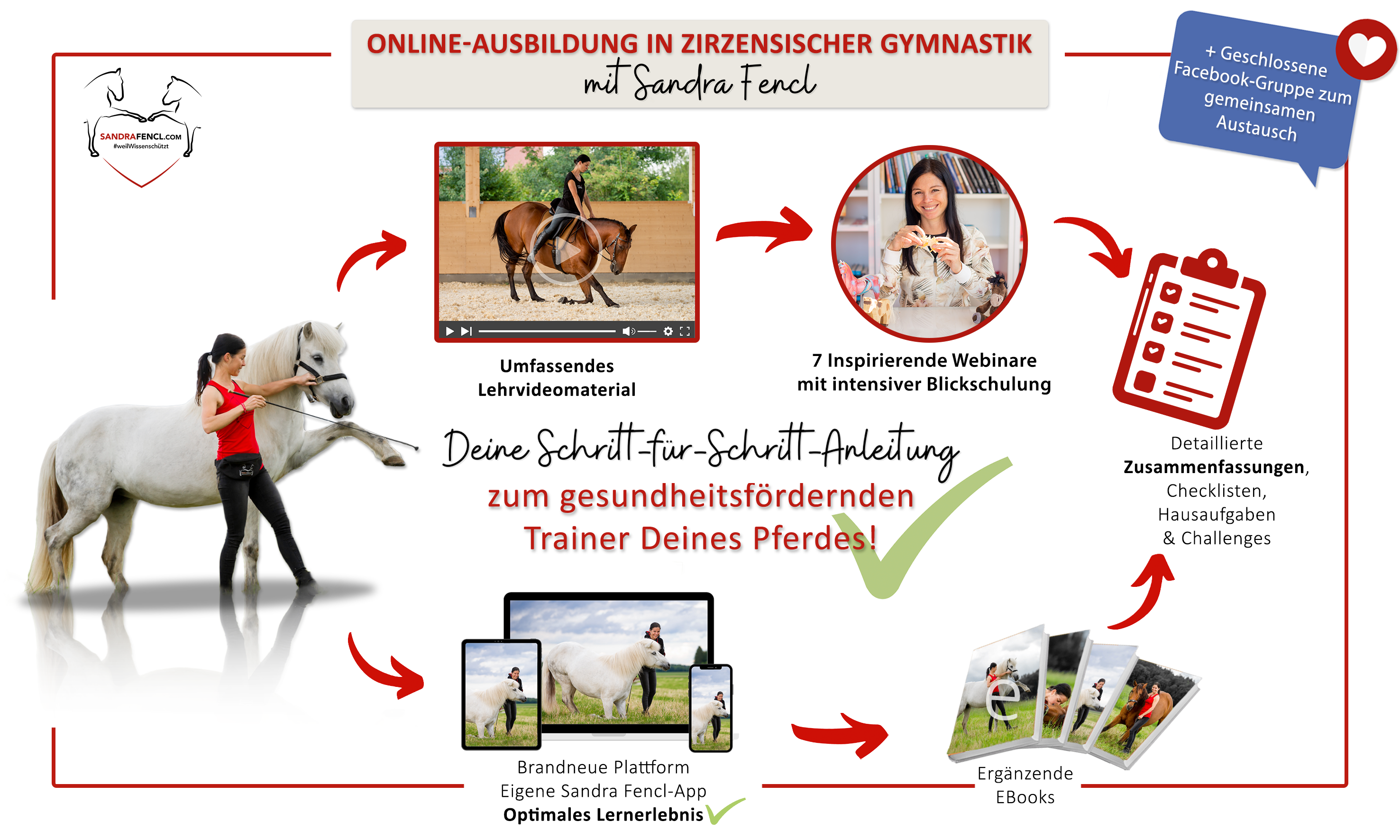 online ausbildung zirzensische gymnastik