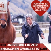 Zirkuslektionen_Zirzensische_Gymnastik_Zirzensik_Sandra_Fencl_eva_Wiemers