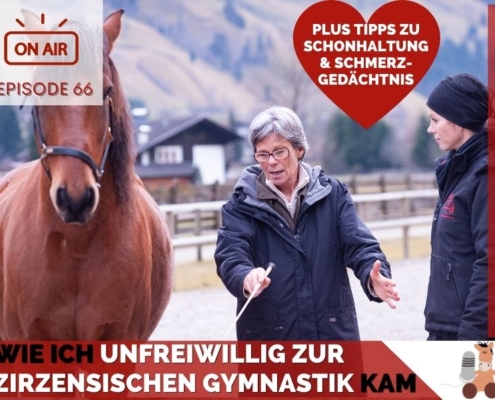 Zirkuslektionen_Zirzensische_Gymnastik_Zirzensik_Sandra_Fencl_eva_Wiemers