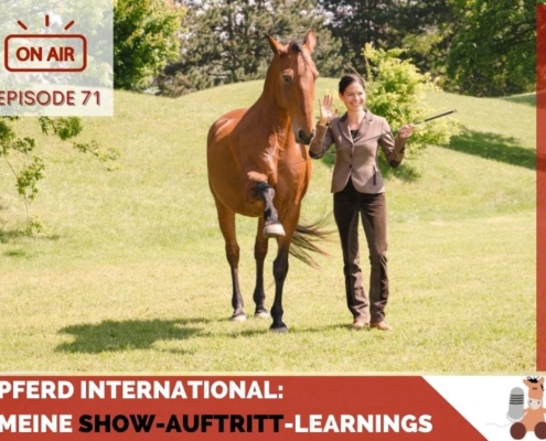 Pferdeshow und Pferdeshowauftritte Pferd International meine Learnings
