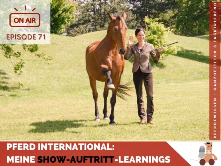 Pferdeshow und Pferdeshowauftritte Pferd International meine Learnings