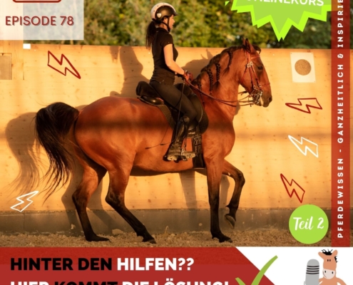 Pferdetrainingstipps und Hilfengebung Pferdepodcast