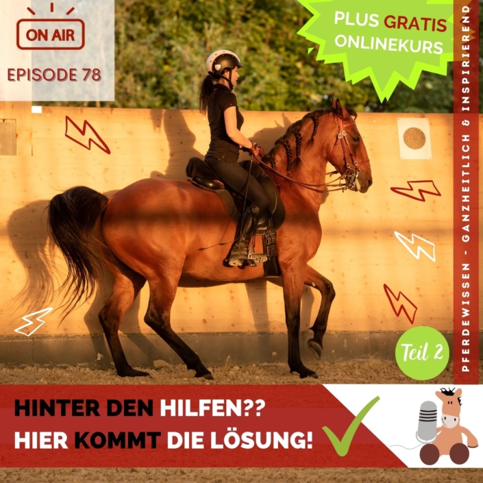 Pferdetrainingstipps und Hilfengebung Pferdepodcast