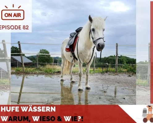 Pferdehufe Feuchtigkeit Hufe wässern Tipps