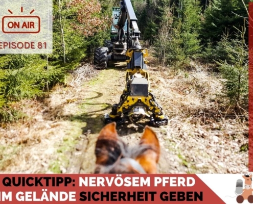 Pferdepodcast Pferdewissen