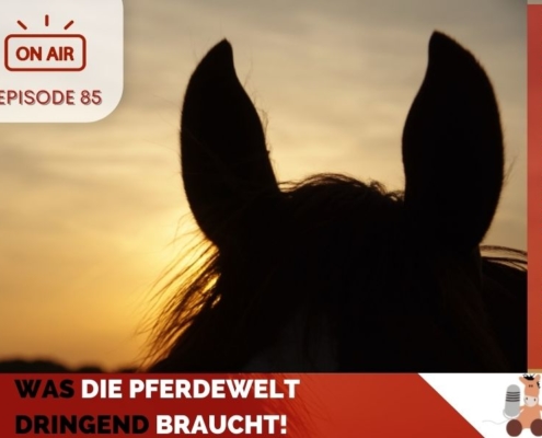 Pferdepodcast Pferdewissen Was die Pferdewelt dringend braucht