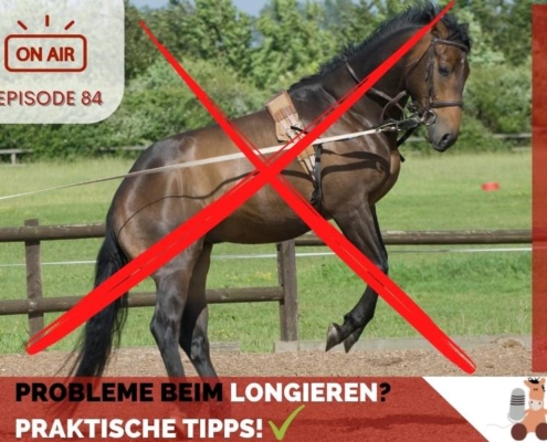 Probleme beim Longieren Tipps im Pferdepodcast